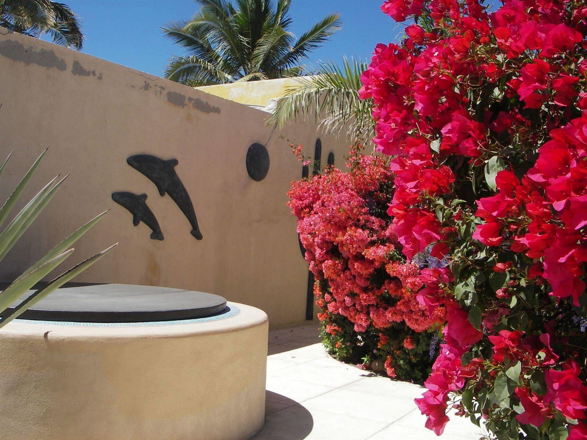 Casa Kootenay Waterfront Bnb La Paz Esterno foto
